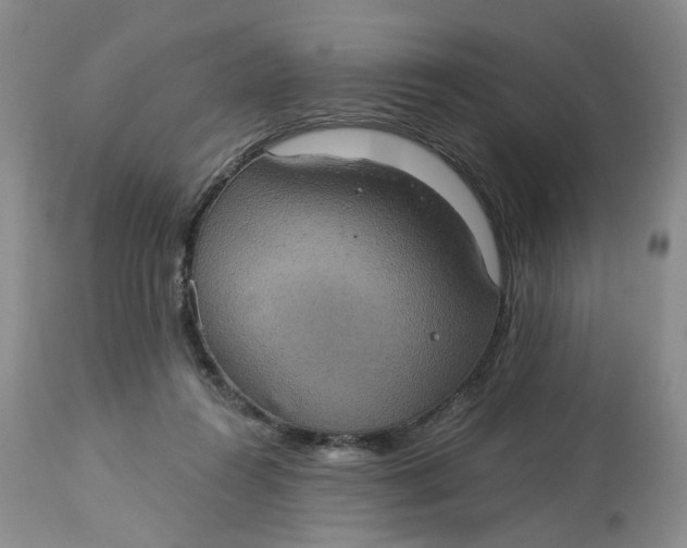 X0000113230360200910011415