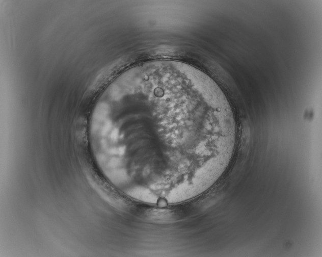 X0000113230361200910011415