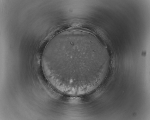 X0000113230363200910011415