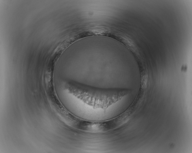 X0000113230365200910011415