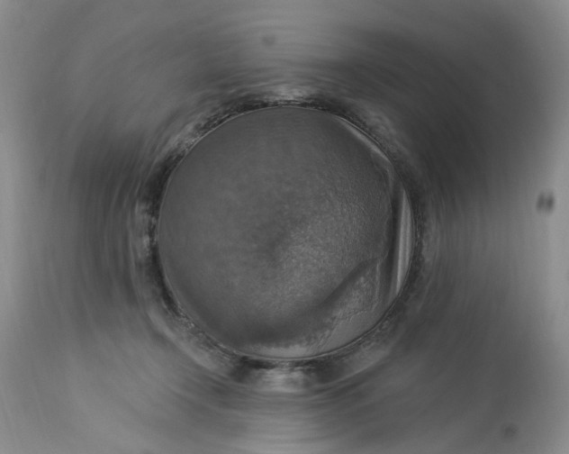 X0000113230366200910011415