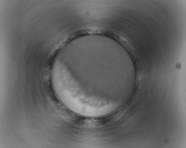 X0000113230367200910011415