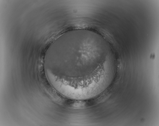 X0000113230369200910011415