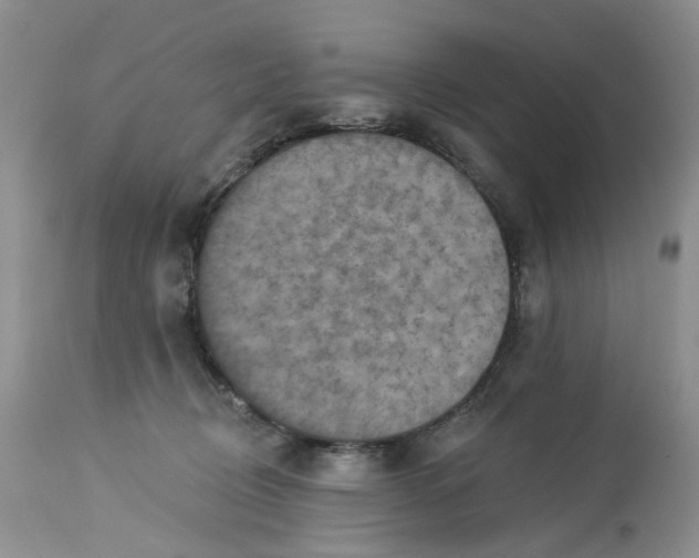 X0000113230370200910011415