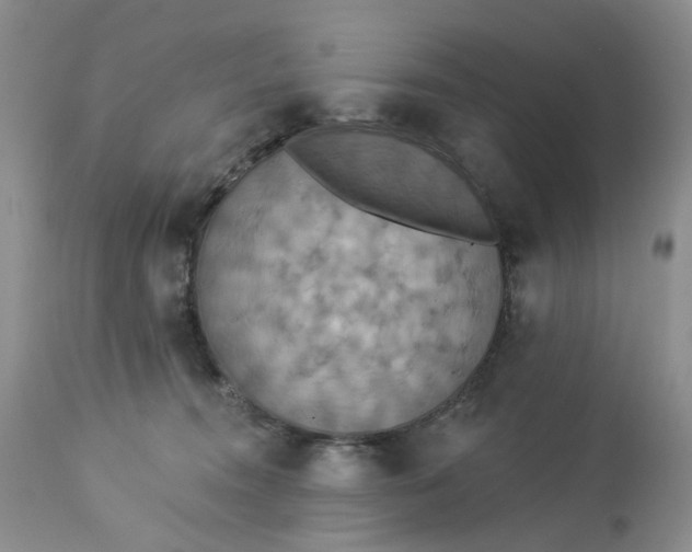 X0000113230372200910011415