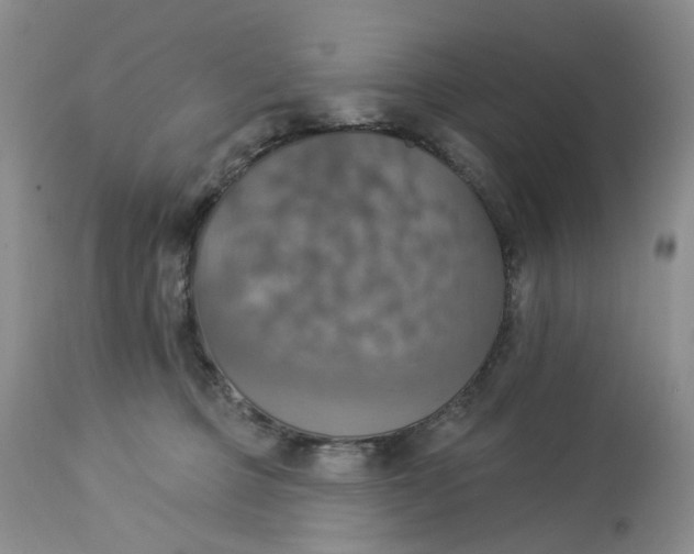 X0000113230373200910011415