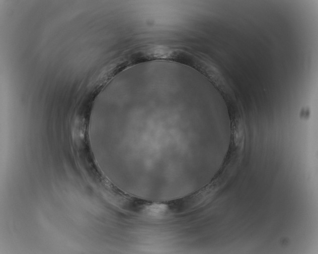 X0000113230374200910011415