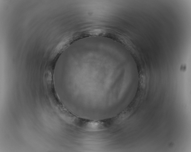 X0000113230375200910011415