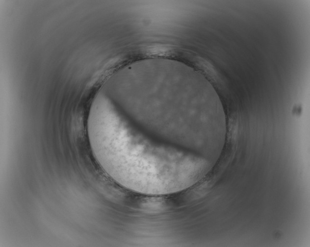 X0000113230377200910011415