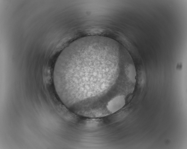 X0000113230378200910011415