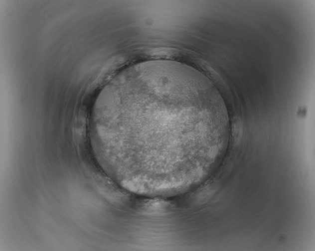 X0000113230379200910011415