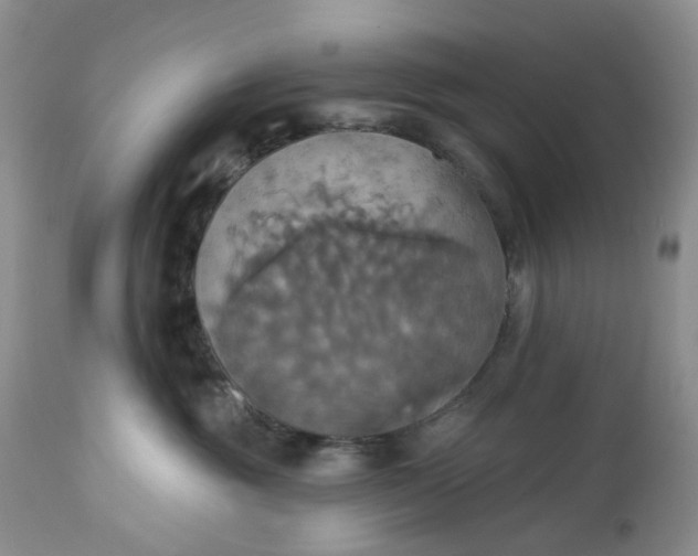 X0000113230381200910011415