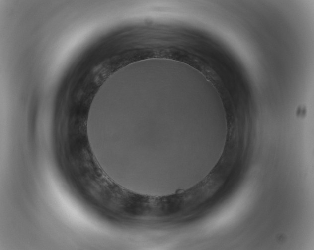 X0000113230383200910011415