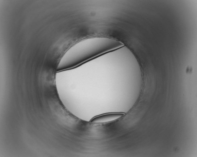 X0000113230384200910011415