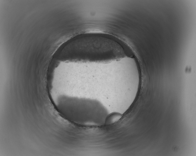 X0000113230385200910011414