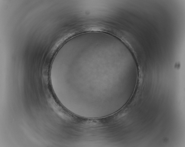 X0000113230386200910011414