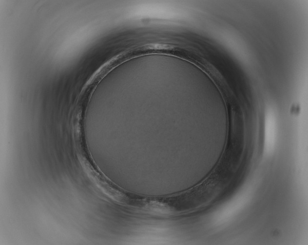 X0000113230387200910011414