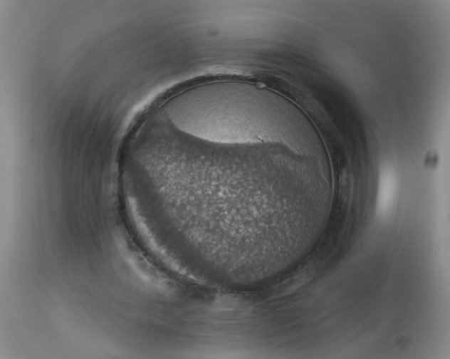 X0000113230388200910011414