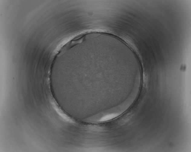 X0000113230389200910011414