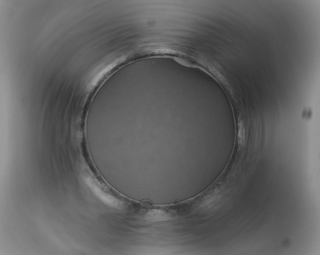 X0000113230390200910011414