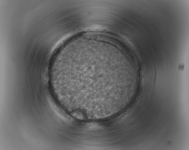 X0000113230392200910011414