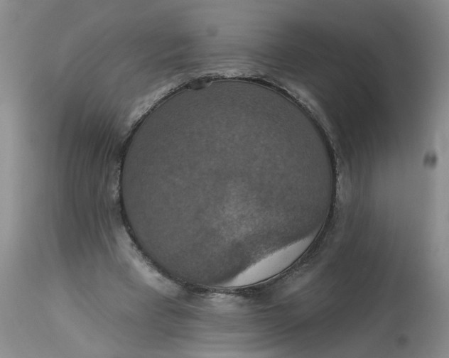 X0000113230393200910011414