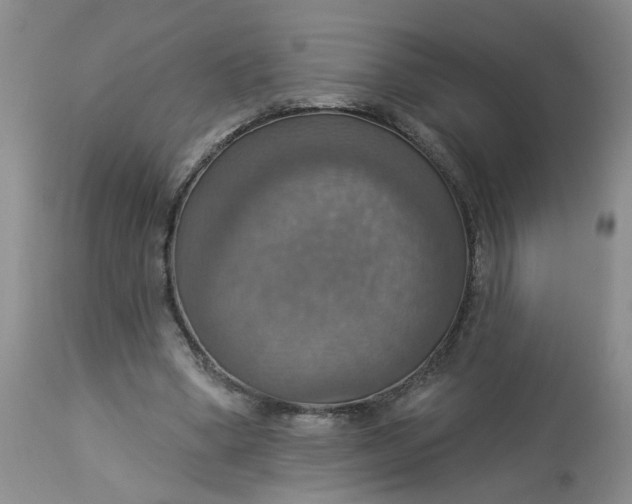 X0000113230394200910011414