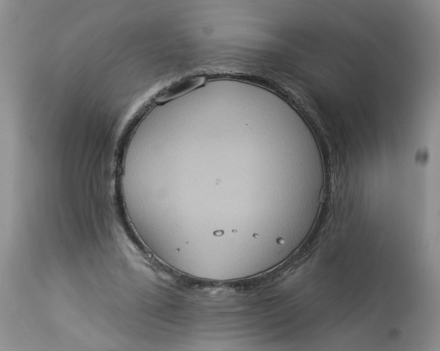 X0000113230395200910011414