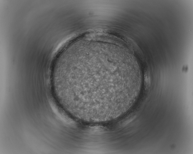 X0000113230396200910011414