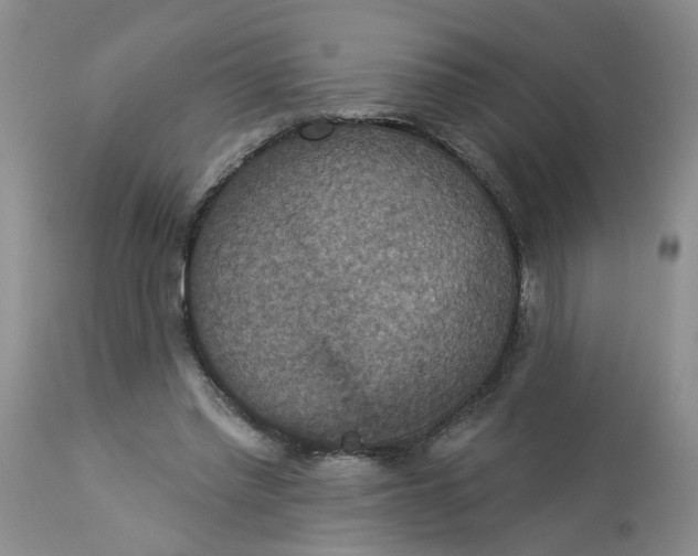 X0000113230397200910011414