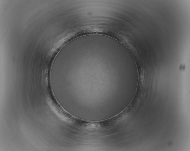 X0000113230398200910011414