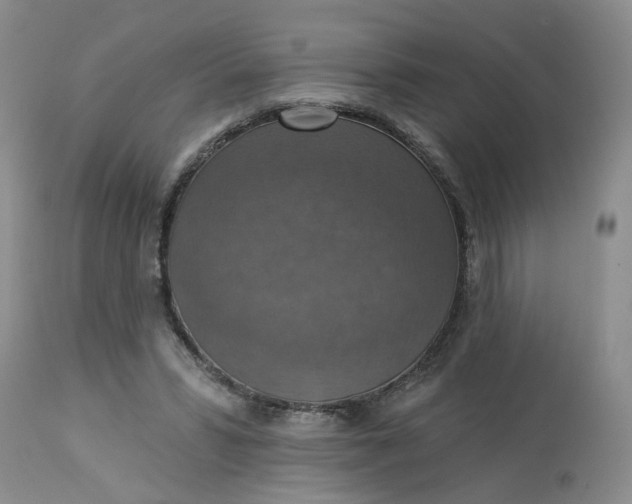 X0000113230399200910011414