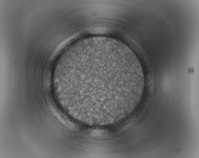 X0000113230400200910011414