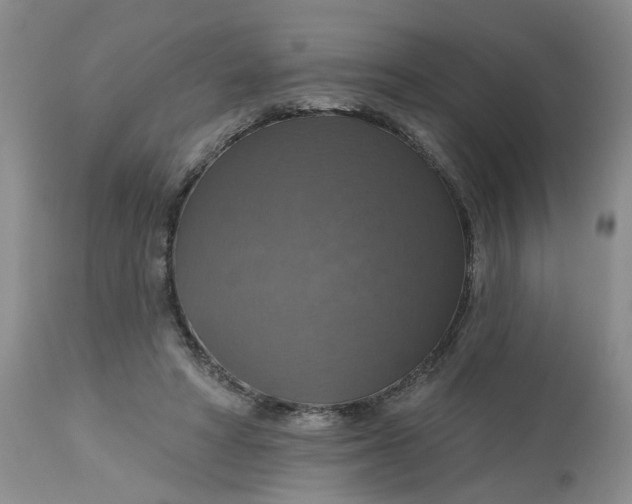 X0000113230402200910011414