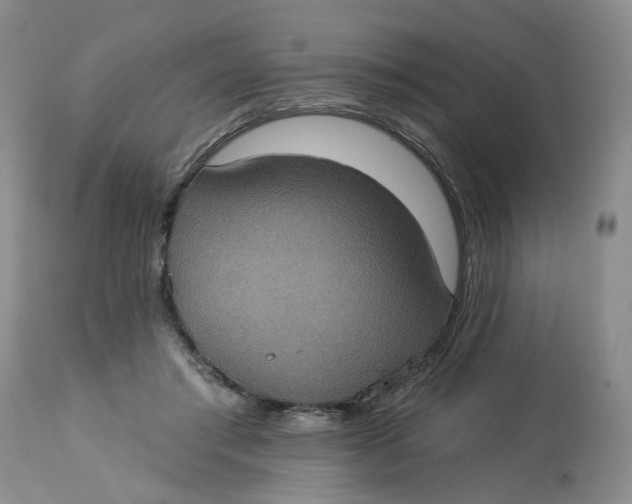 X0000113230405200910011414