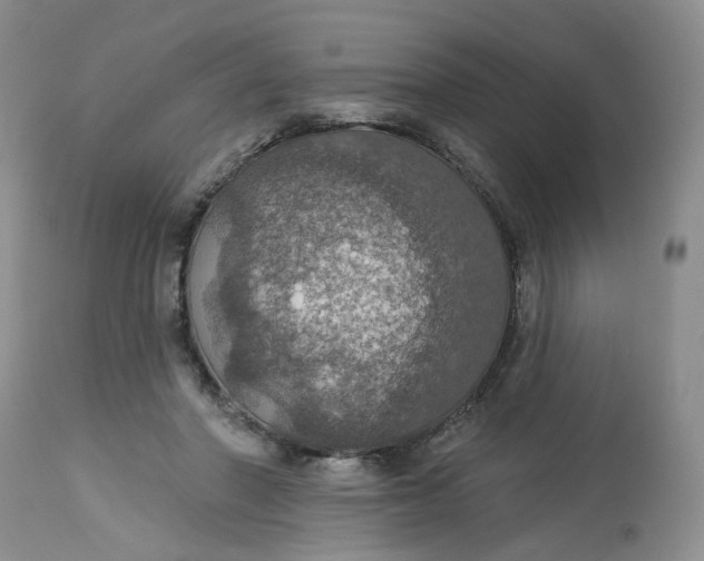 X0000113230406200910011414