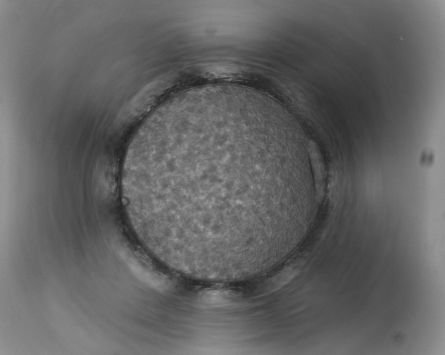 X0000113230408200910011414