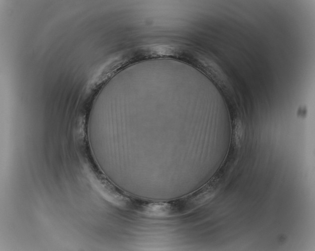 X0000113230410200910011414