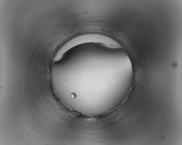 X0000113230411200910011414