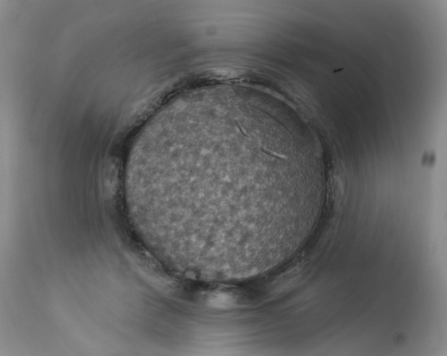 X0000113230412200910011414