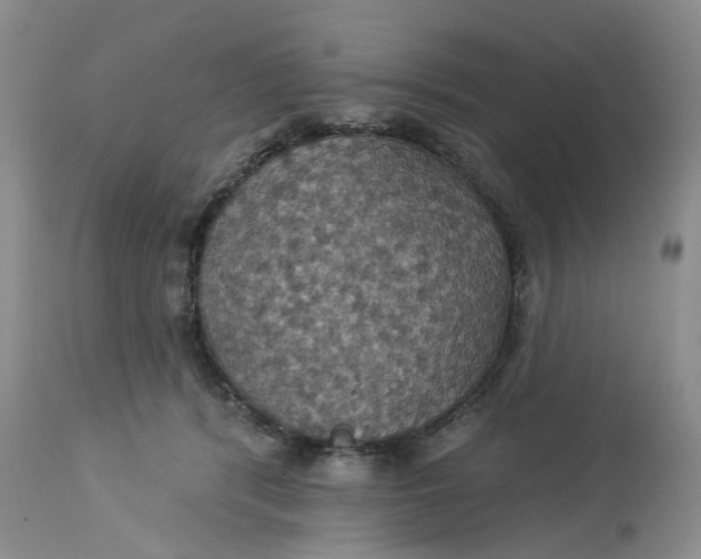 X0000113230416200910011414