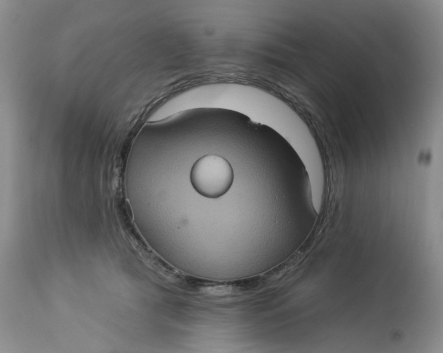 X0000113230417200910011414