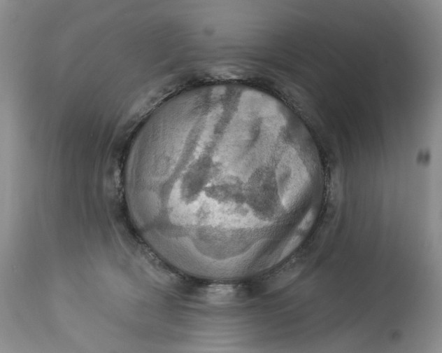 X0000113230418200910011414