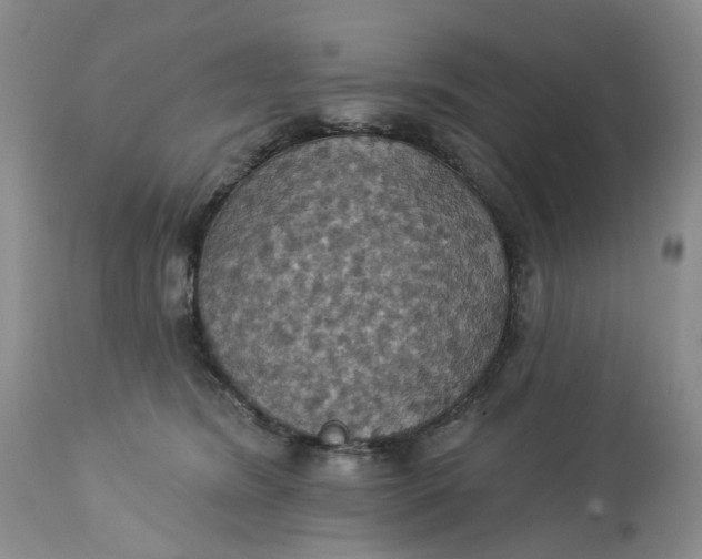 X0000113230420200910011414