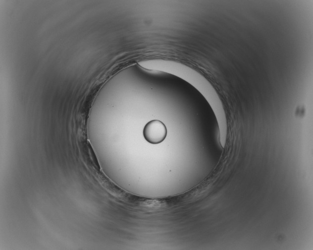 X0000113230421200910011414