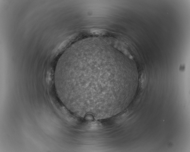 X0000113230424200910011414