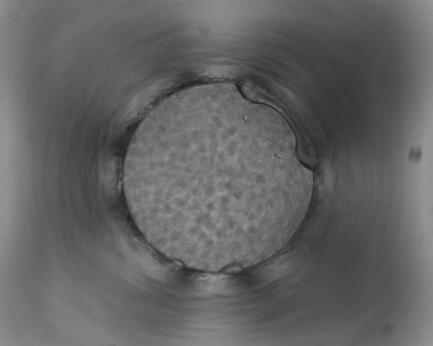 X0000113230428200910011414