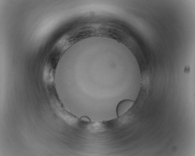 X0000113230431200910011414