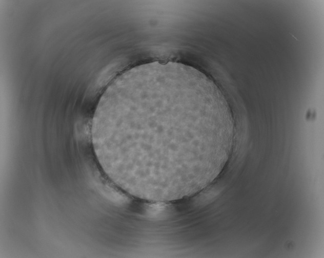 X0000113230432200910011414