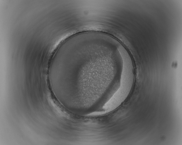 X0000113230434200910011413